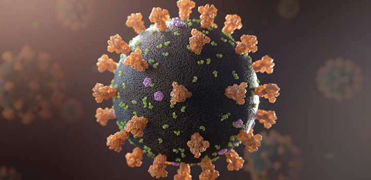 KAUST CEMSE AMCS CBRC Representation of a SARS CoV 2 Virus