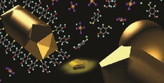 CEMSE EE Gold Nanosphere Gold Nanorod