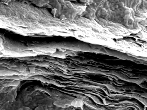 CEMSE EE An Electron Microscope Image Showing Graphene Sheets