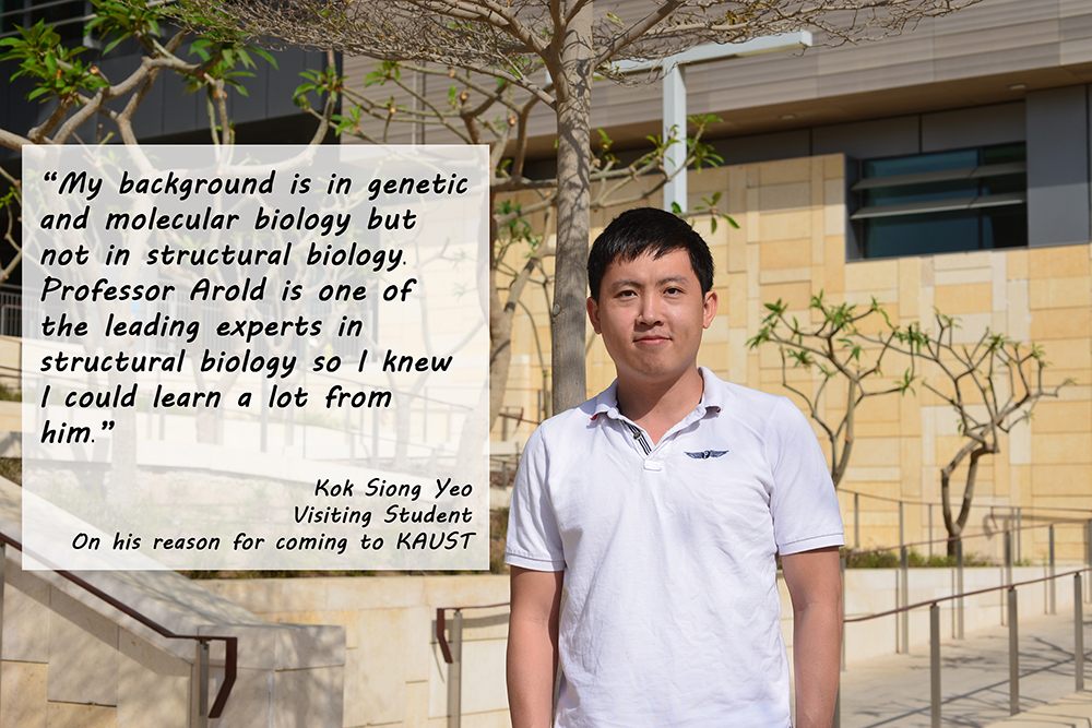 KAUST CEMSE CBRC Kok Siong Yeo Visiting Student