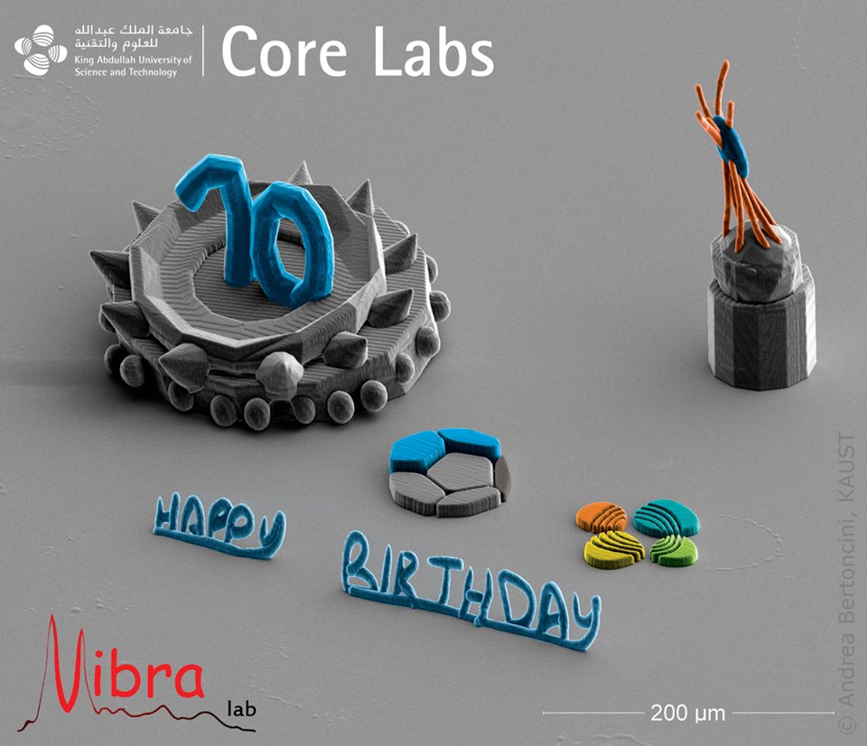KAUST BESE VIBRA Tenth birthday for Nanoscribe creative design