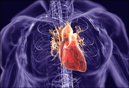 KAUST CEMSE EE SI Heart CardioSystem