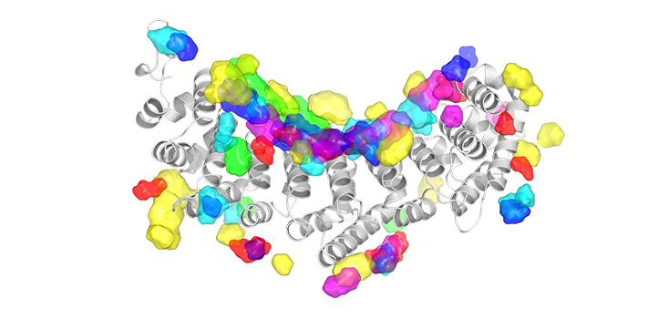 KAUST CEMSE CS CBRC STAT SFB Illustration of The RNA Interaction
