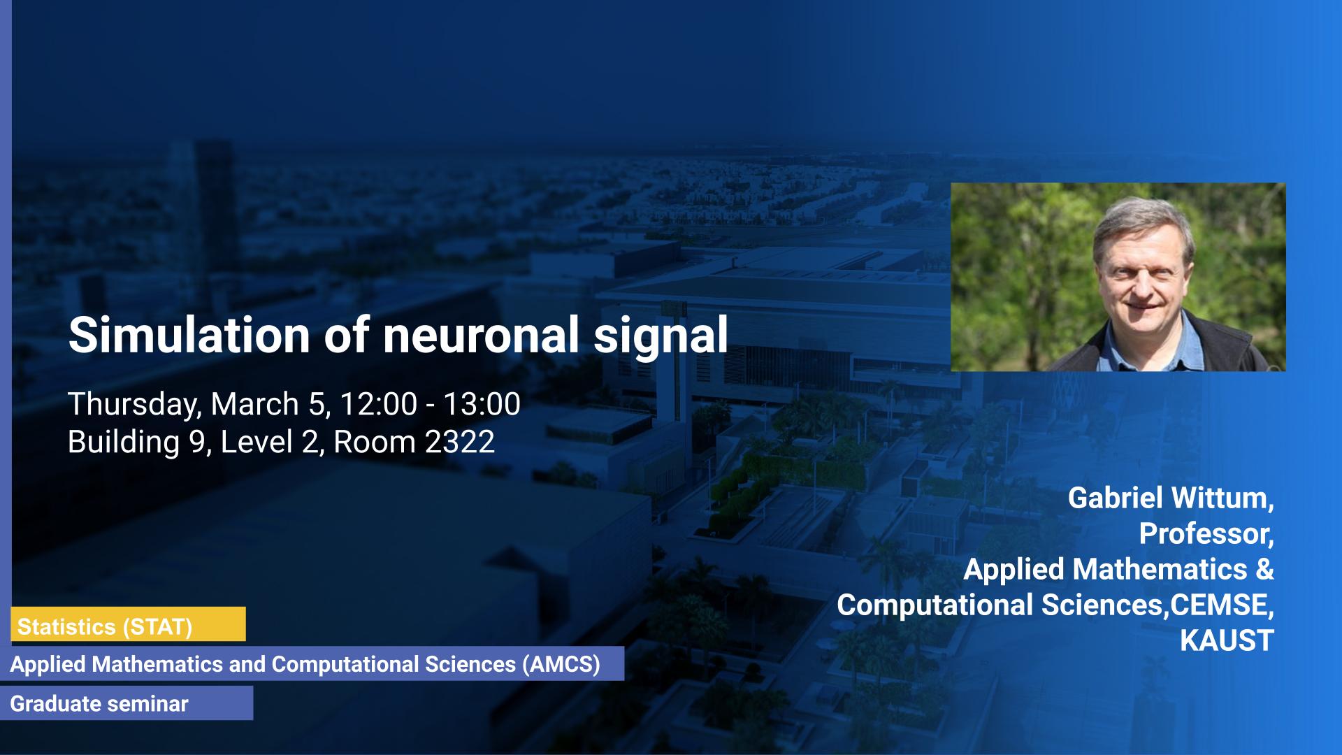 KAUST-CEMSE-AMCS-STAT-Graduate-Seminar-Gabriel Wittum-Simulation of Neuronal Signal