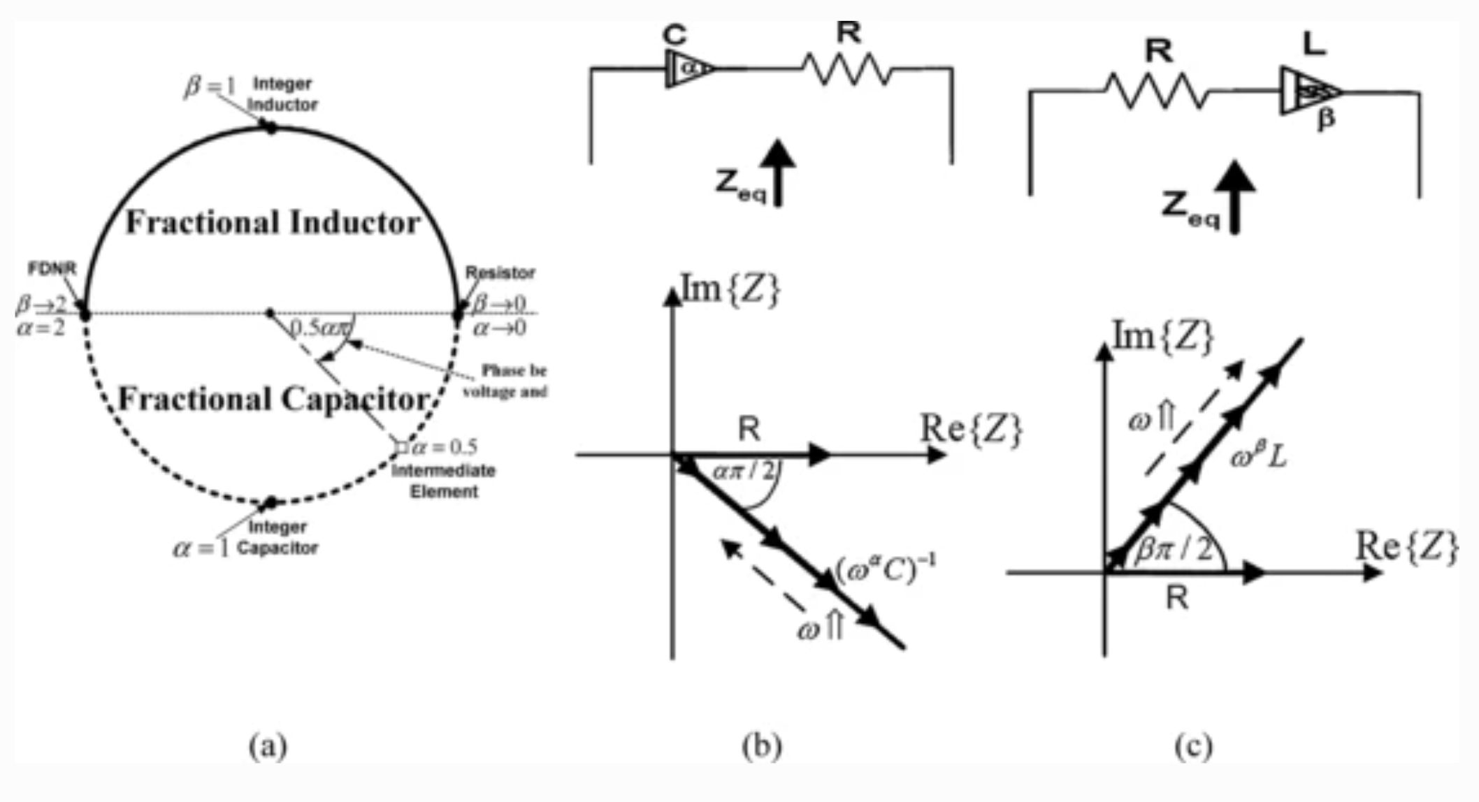 Fractional-order RC and RL circuits