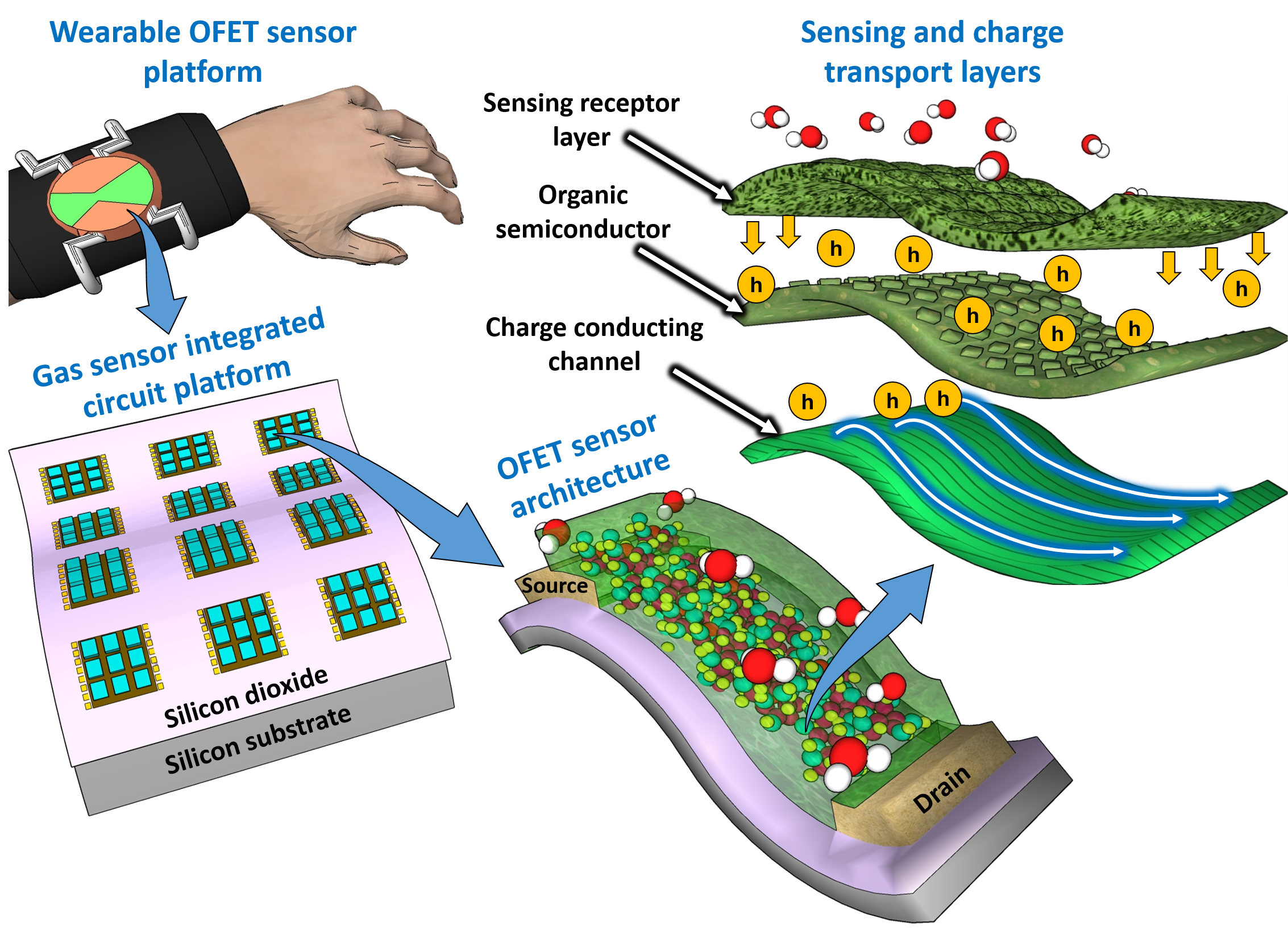 Organic field-effect transistor-based flexible sensors†