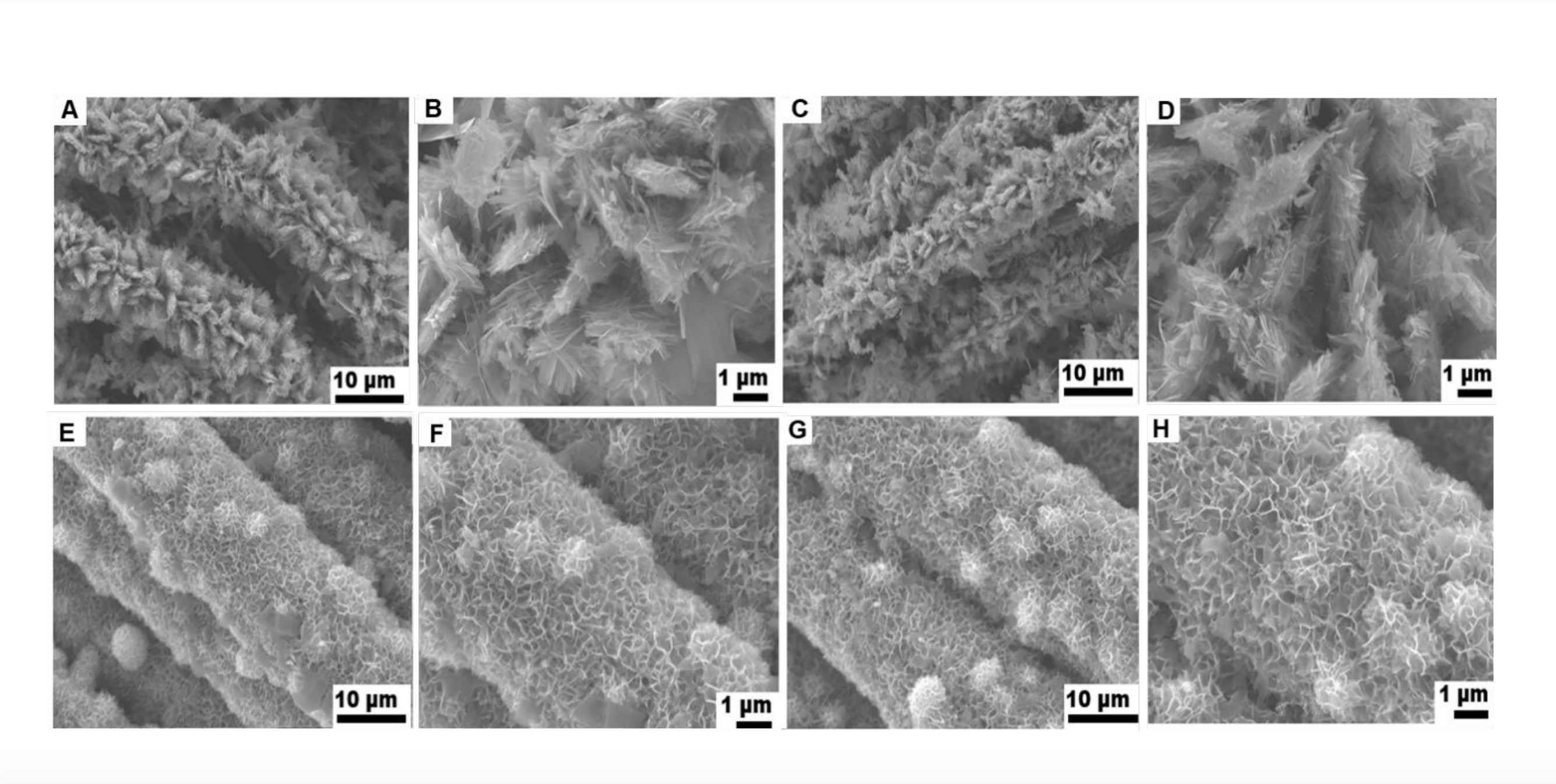 Growth of large-scale MoS2 nanosheets on double layered ZnCo2O4 for real-time in-situ H2S monitoring in live cells