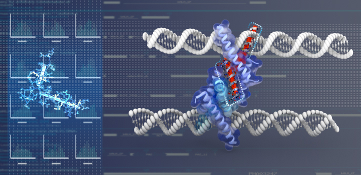 DNA & proteins
