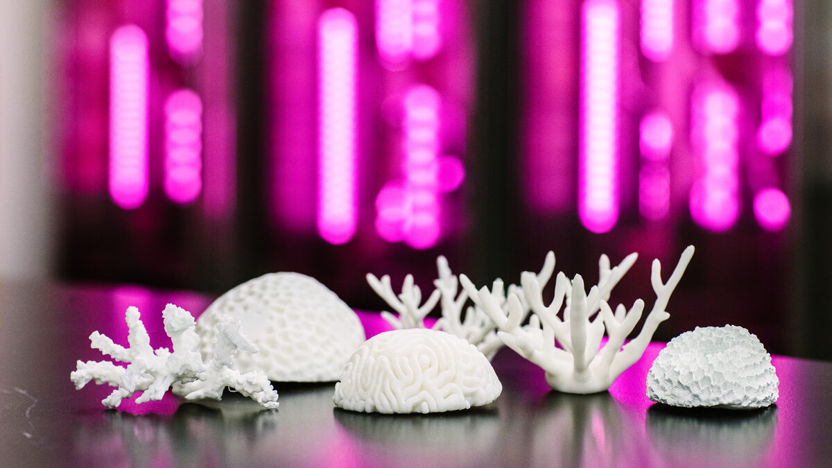 Growing 3D printing corals edited