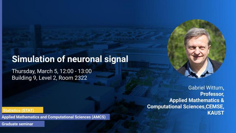 KAUST CEMSE AMCS STAT Graduate Seminar Gabriel Wittum Simulation of neuronal signal