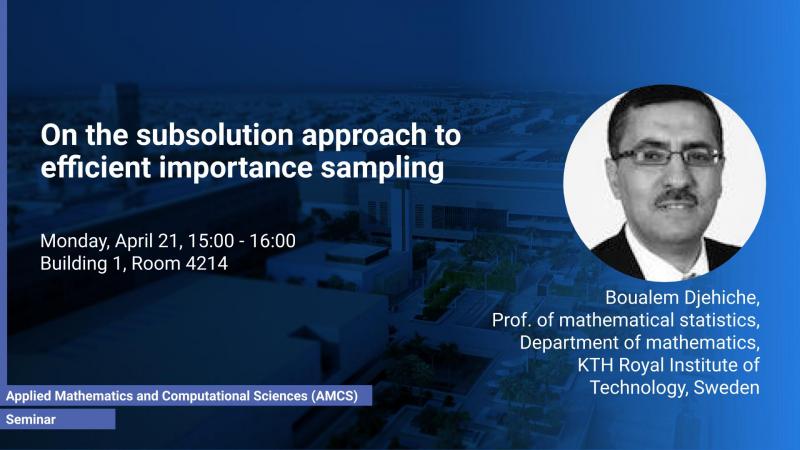 KAUST CEMSE AMCS STOCHNUM Seminar Boualem Djehiche On the Subsolution Approach To Efficient Importance Sampling