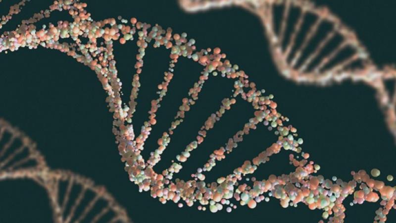 KAUST CEMSE CS CLOUD ECRC AI learns Complex Gene Disease Patterns
