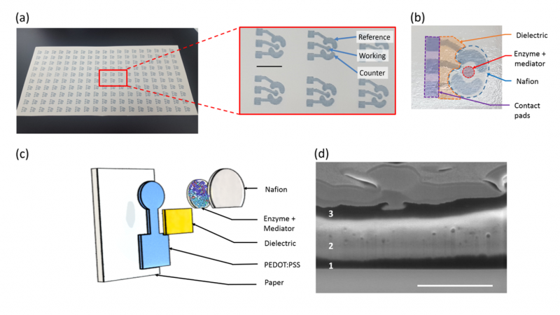 A fully inkjet-printed disposable glucose sensor on paper