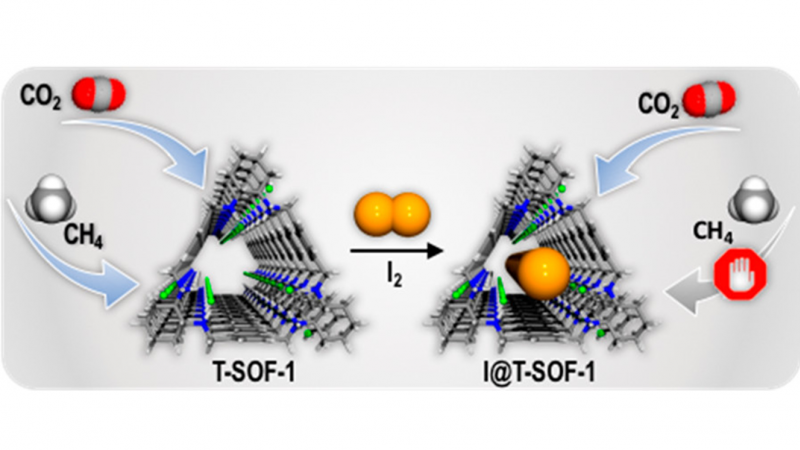 Trianglamine-based supramolecular organic framework with permanent intrinsic porosity and tunable selectivity