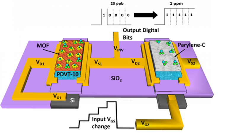 Fully Integrated Organic Field‐Effect Transistor Platform to Detect and to Quantify NO2 Gas