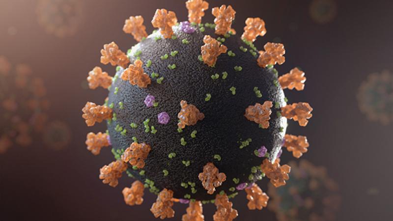 KAUST CEMSE AMCS CBRC Representation of a SARS CoV 2 Virus