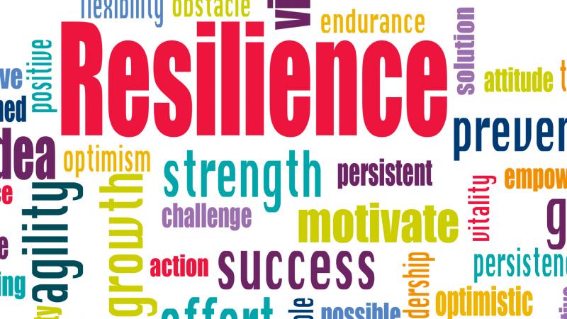RC3-On-Resilience-Article-Ahmad-Sheikh