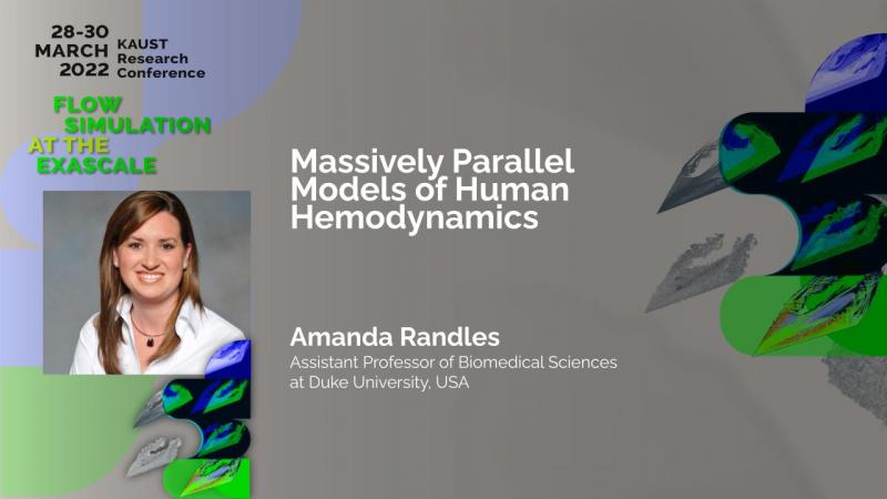 Massively Parallel Models of Human Hemodynamics Amanda Randles