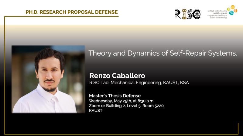 RISC Lab Renzo Caballero PhD