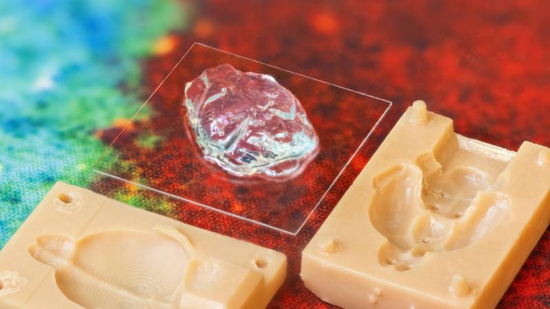 Advanced bioprinting leads to 3D brain models