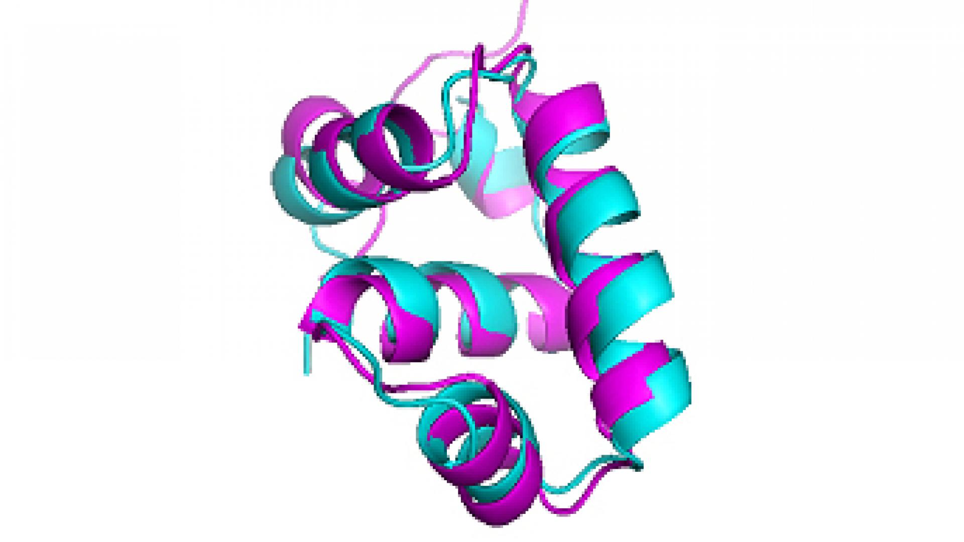 KAUST CEMSE CS SFB Protein Structure Prediction