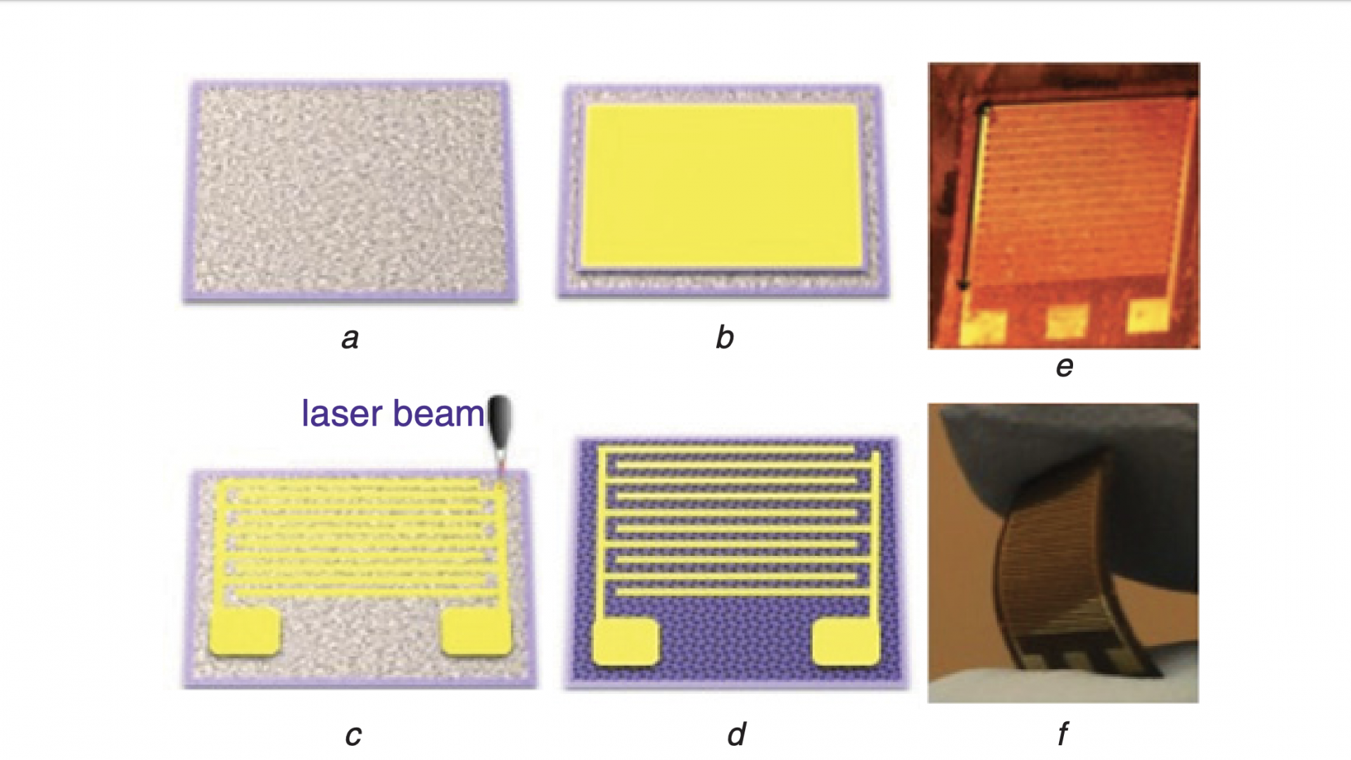 Flexible low-cost cardiovascular risk marker biosensor for point-of-care applications
