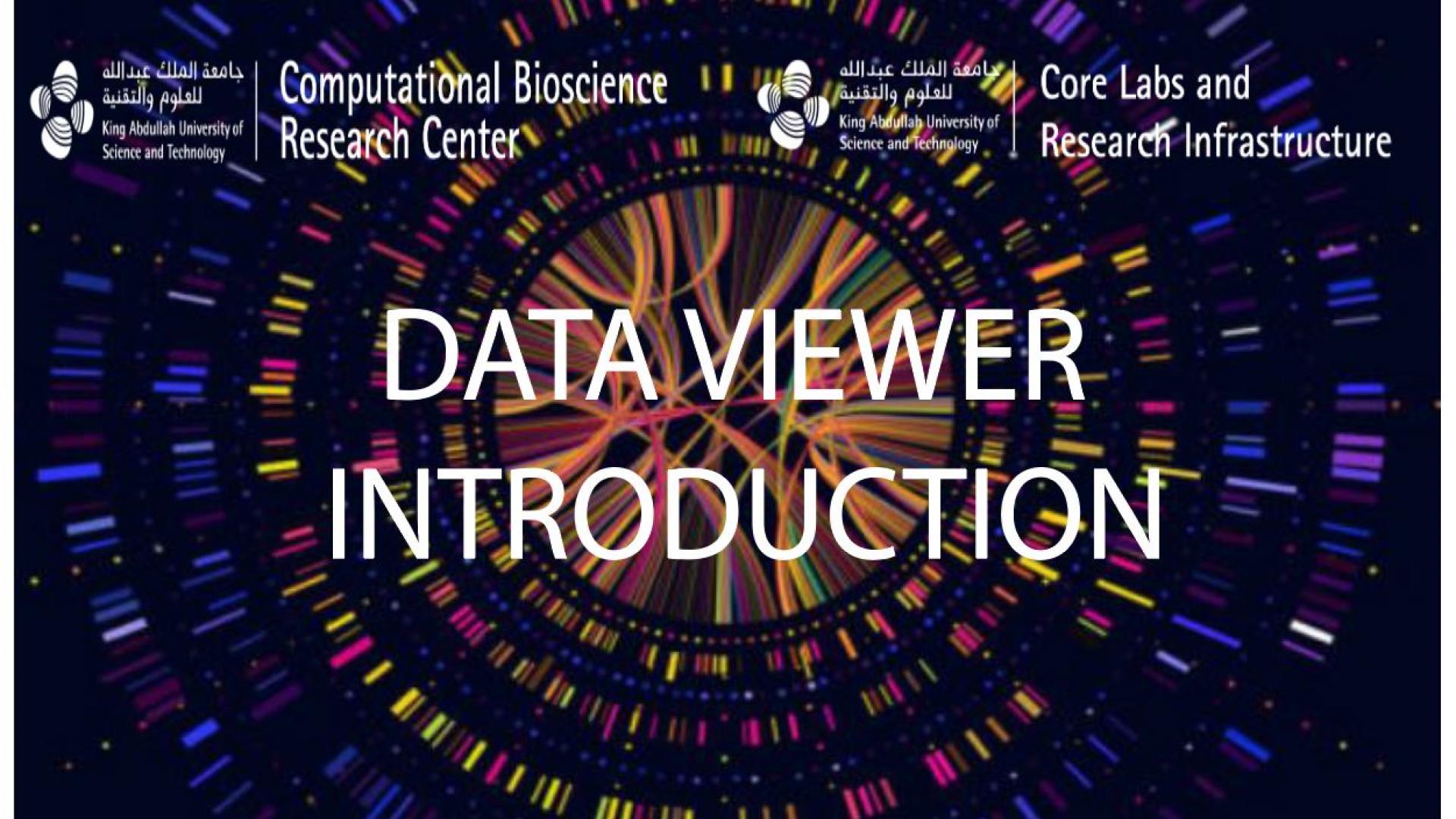 data viewer introduction