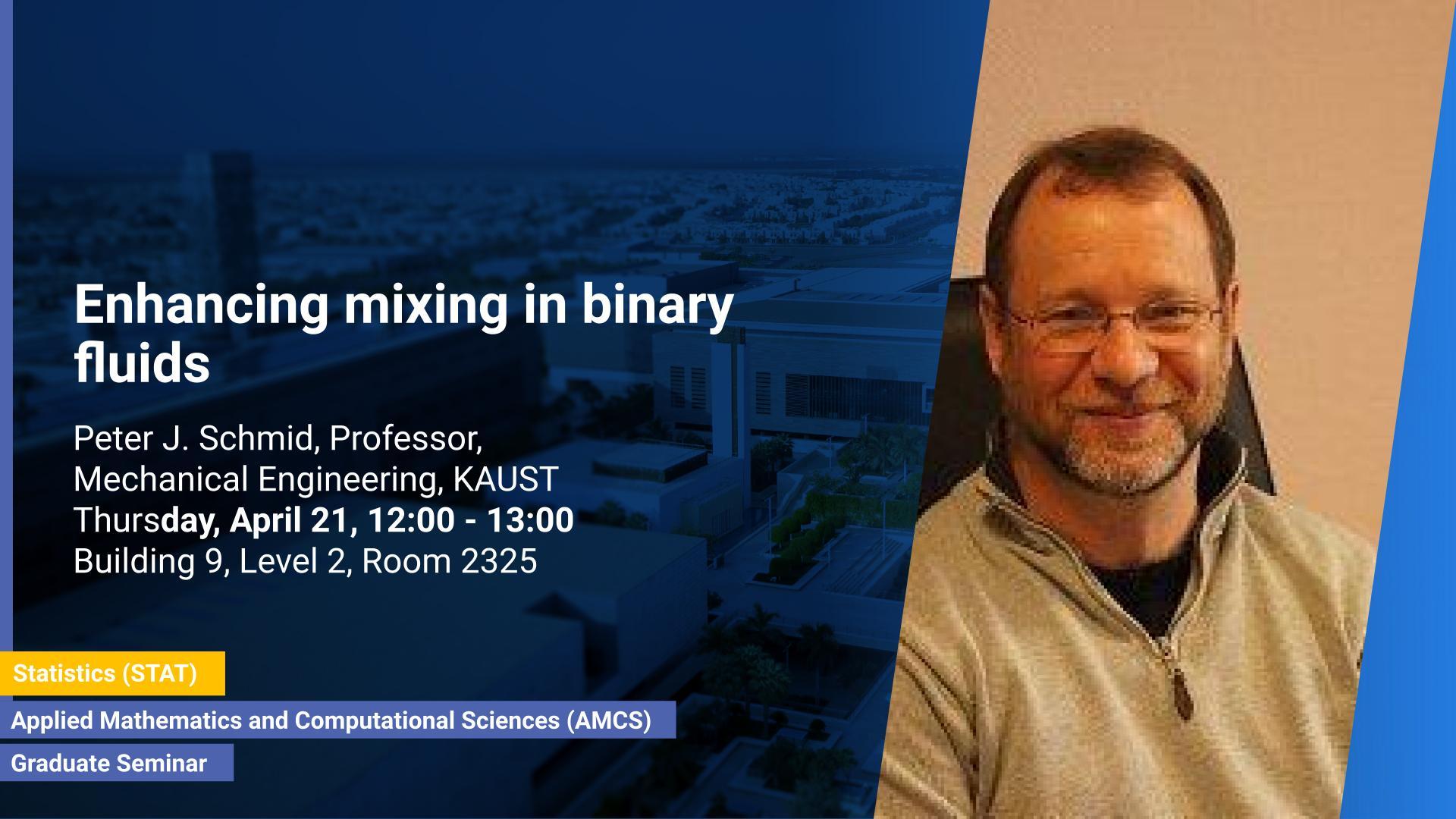 KAUST CEMSE AMCS STAT Graduate  Seminar  Peter J Schmid Enhancing mixing in binary fluids
