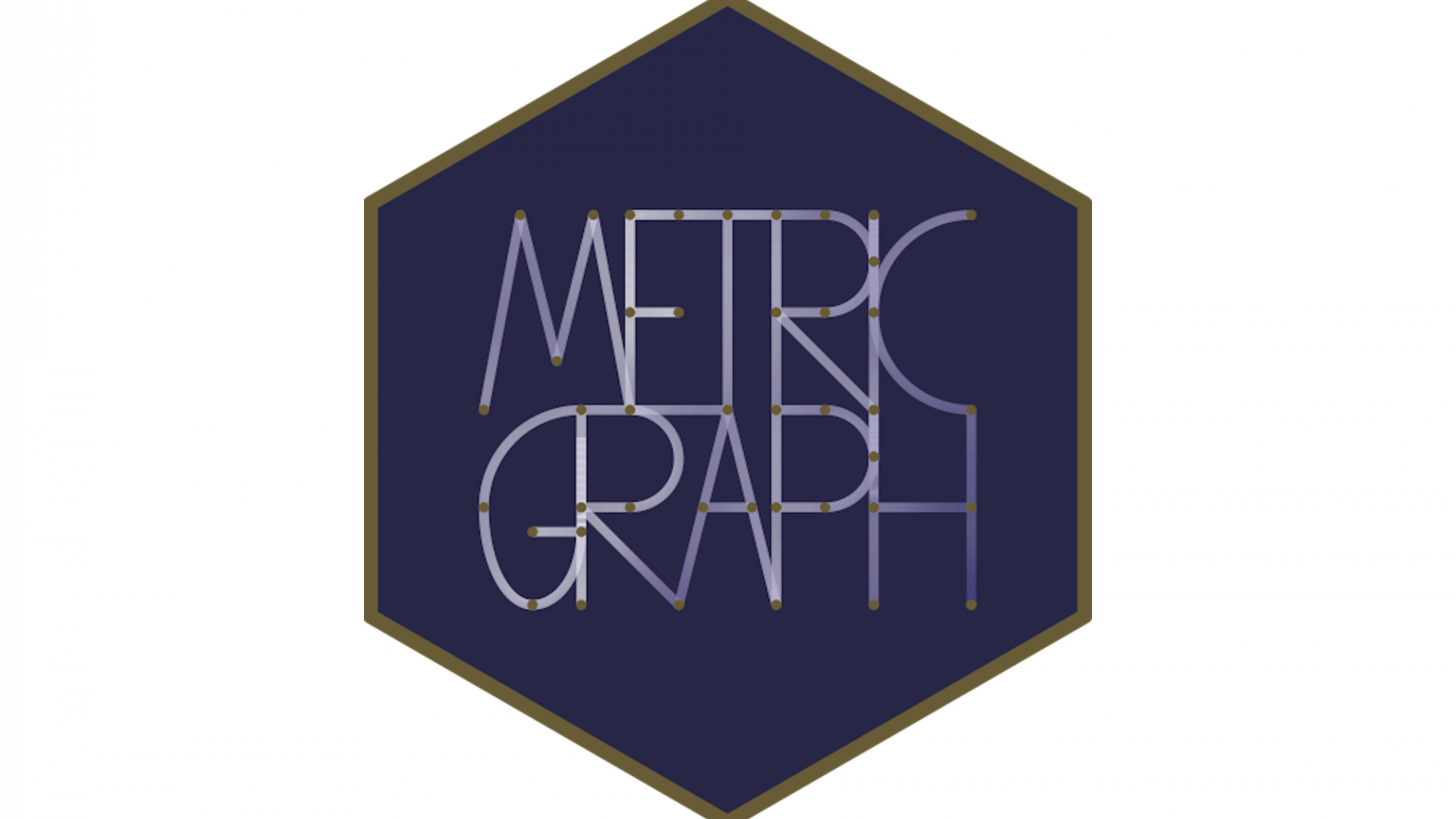 MetricGraph